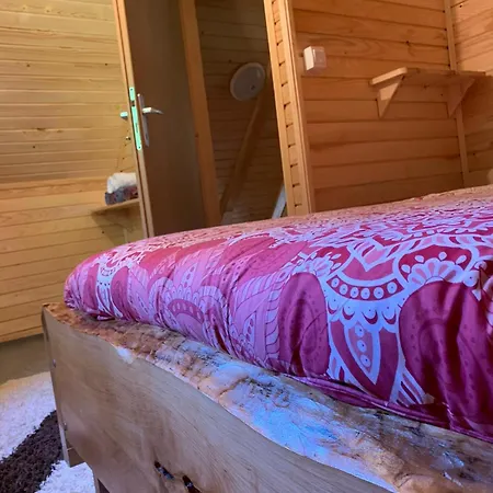 Stari Mlin Vikendica